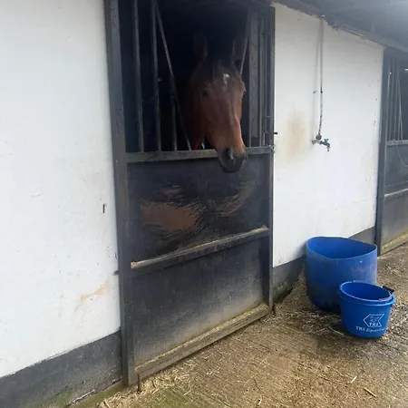 Graiguenamanagh Homestay Privatunterkunft