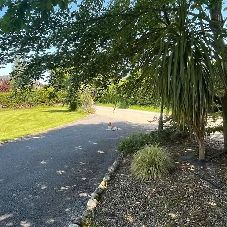 Privatunterkunft Graiguenamanagh Homestay *