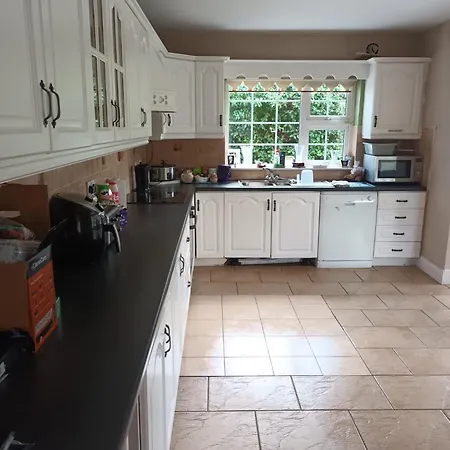 홈스테이 Graiguenamanagh Homestay *