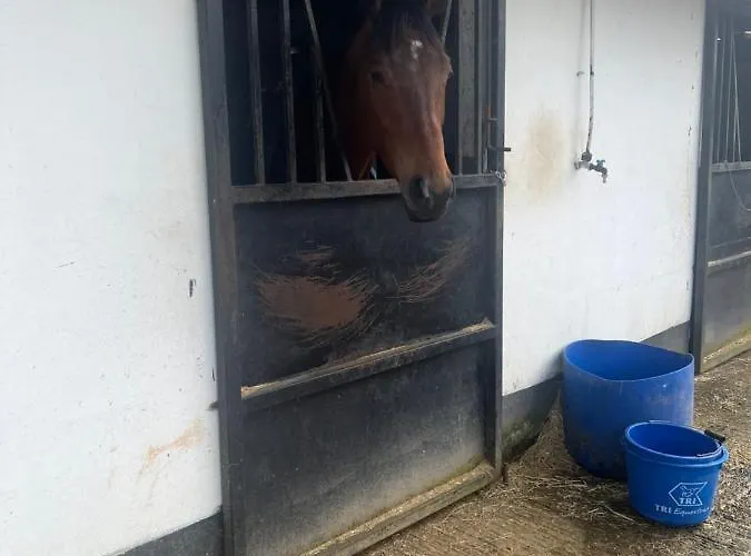 Graiguenamanagh Homestay Проживание в семье