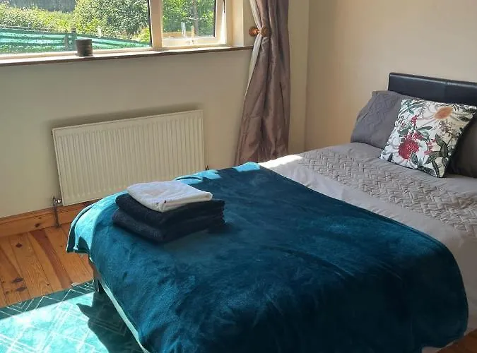 Проживание в семье Graiguenamanagh Homestay