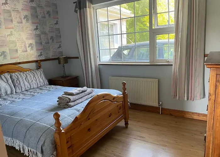 Проживание в семье Graiguenamanagh Homestay
