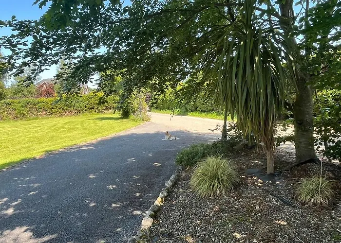 Проживание в семье Graiguenamanagh Homestay *