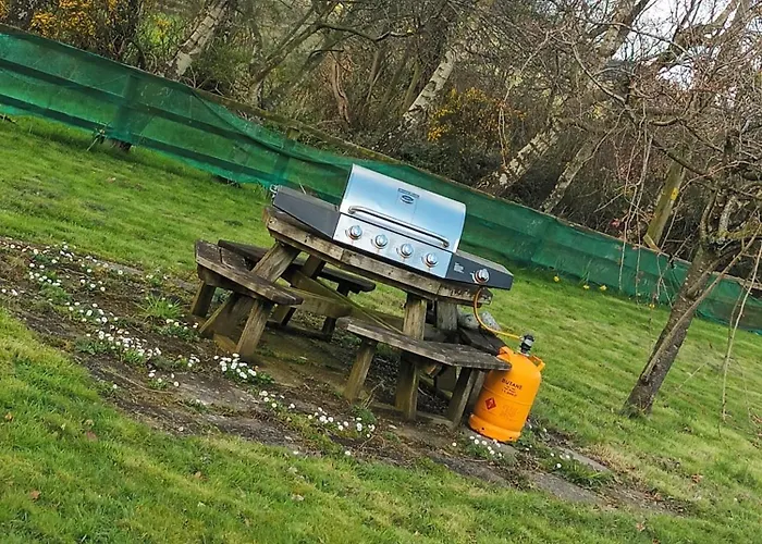 Проживание в семье Graiguenamanagh Homestay *